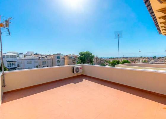 2e hands - Villa - San Miguel de Salinas - El Galán
