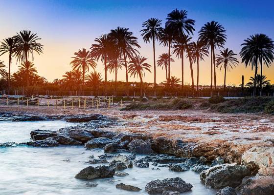 Nybyggnad - Lägenheter - Orihuela Costa - Punta Prima