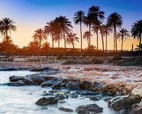 Nybyggnad - Lägenheter - Orihuela Costa - Punta Prima