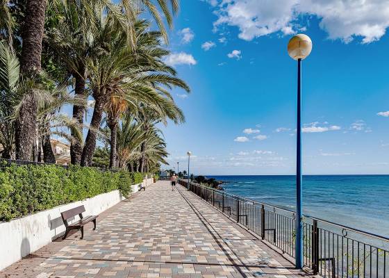 Nybyggnad - Lägenheter - Orihuela Costa - Punta Prima