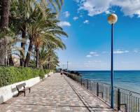 Nybyggnad - Lägenheter - Orihuela Costa - Punta Prima