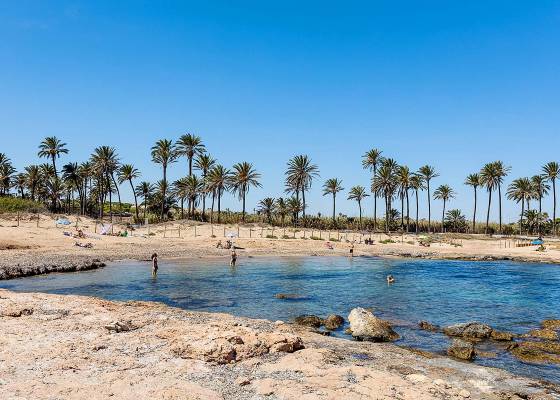 Nybyggnad - Lägenheter - Orihuela Costa - Punta Prima