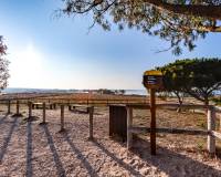 2ª mano - Villa - Torrevieja