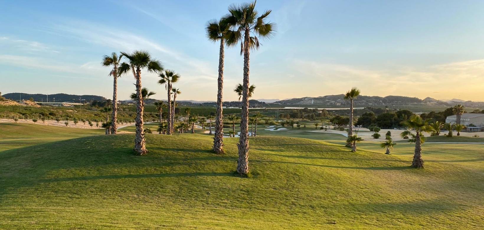 Neubau - Villa - Los Montesinos - Vistabella Golf