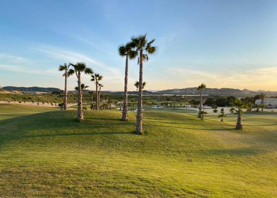 Neubau - Villa - Los Montesinos - Vistabella Golf