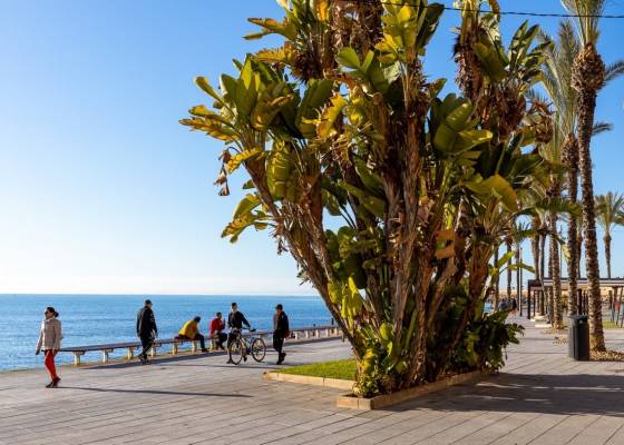 2nd hand - Apartment - Torrevieja