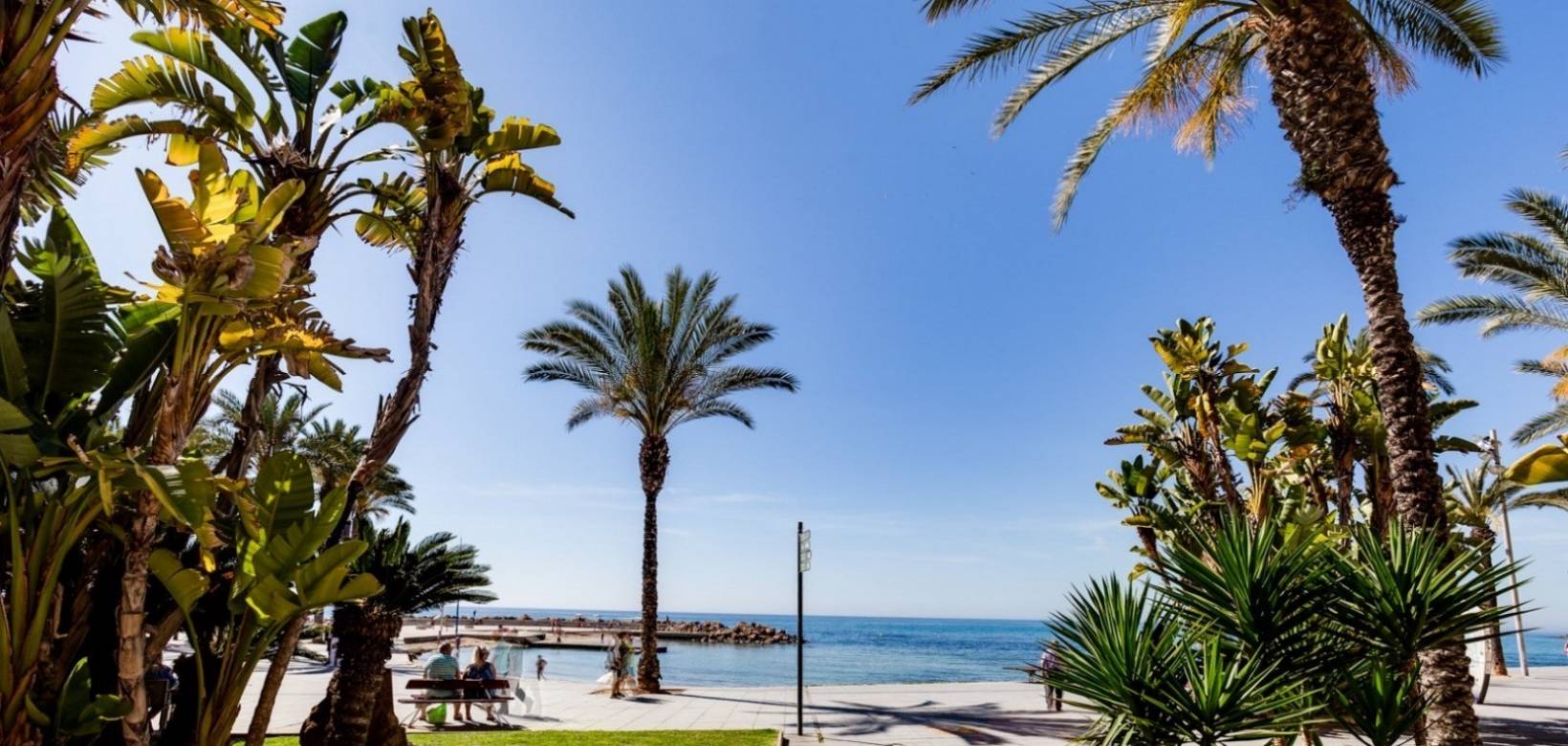 2nd hand - Apartment - Torrevieja