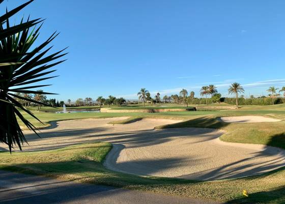 Nieuw gebouw - Villa - Roda - Roda Golf