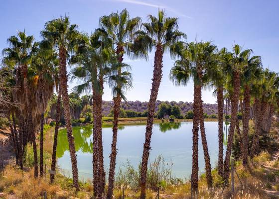 2ª mano - Villa - Orihuela Costa - Las Ramblas Golf