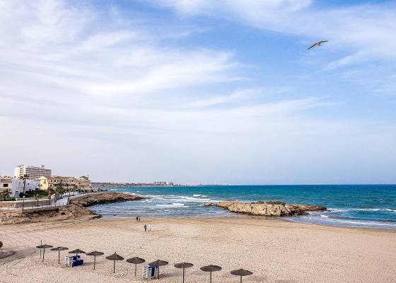 Nouvelle construction - Villa - Orihuela Costa - La Zenia