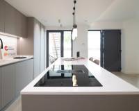 Nouvelle construction - Chalet - Pilar de la Horadada