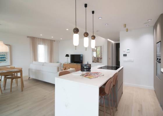 Nouvelle construction - Chalet - Pilar de la Horadada